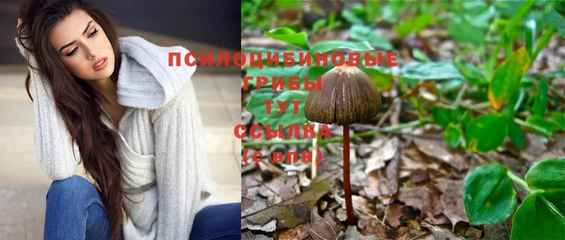 Псилоцибиновые грибы Psilocybe  hydra ссылки  Славянск-на-Кубани 